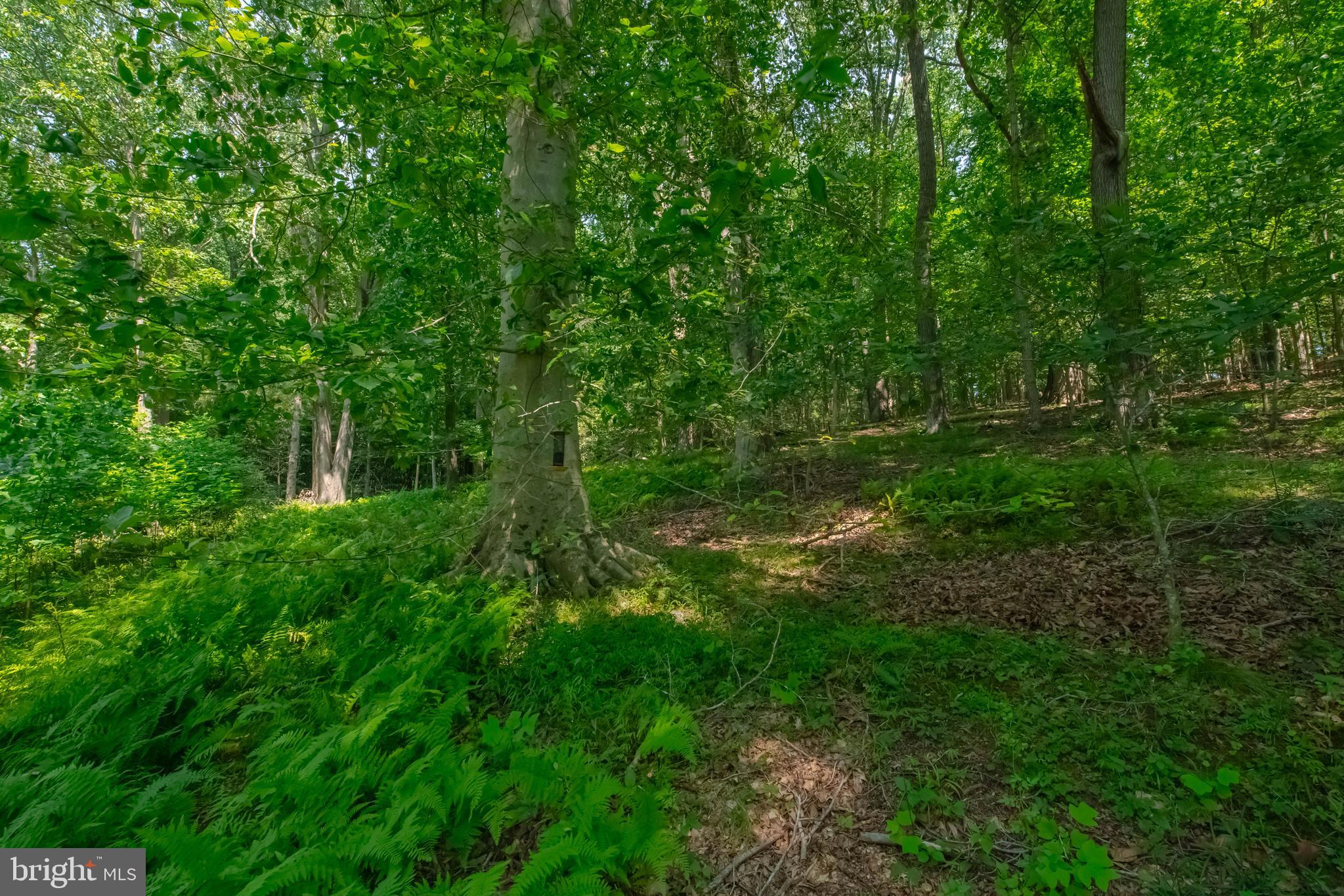 2525 Friendship Road Fallston, MD 21047 - Photo 17 of 74