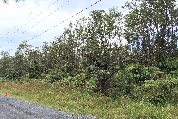 5 Kaleponi Road Mountain View, HI 96771 - Photo 6 of 14 a view of a forest with lots of trees
