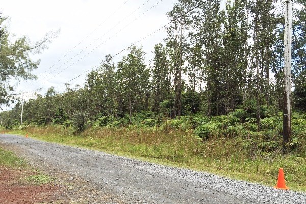 5 Kaleponi Road Mountain View, HI 96771 - Photo 10 of 14 a view of a yard with a tree