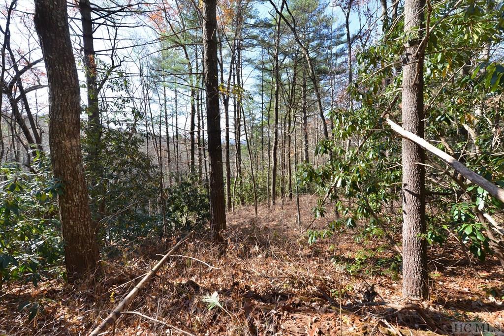 On Hidden Springs Road Highlands, NC 28741 - Photo 10 of 11 Gallery Image 10