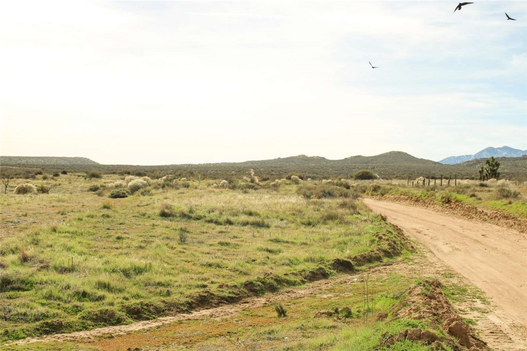 80999 Sonora Road Phelan, CA 92371 - Photo 17 of 18