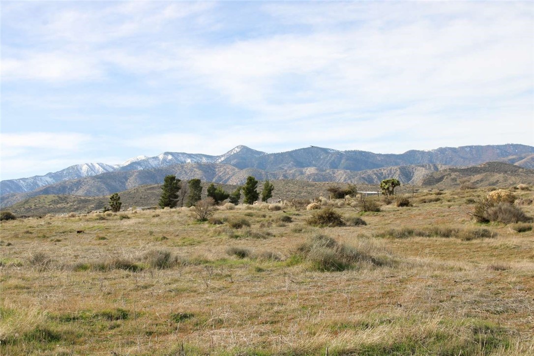 80999 Sonora Road Phelan, CA 92371 - Photo 7 of 18