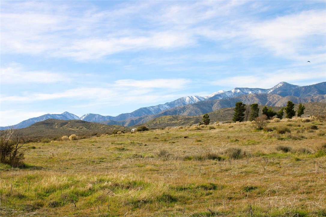 80999 Sonora Road Phelan, CA 92371 - Photo 8 of 18