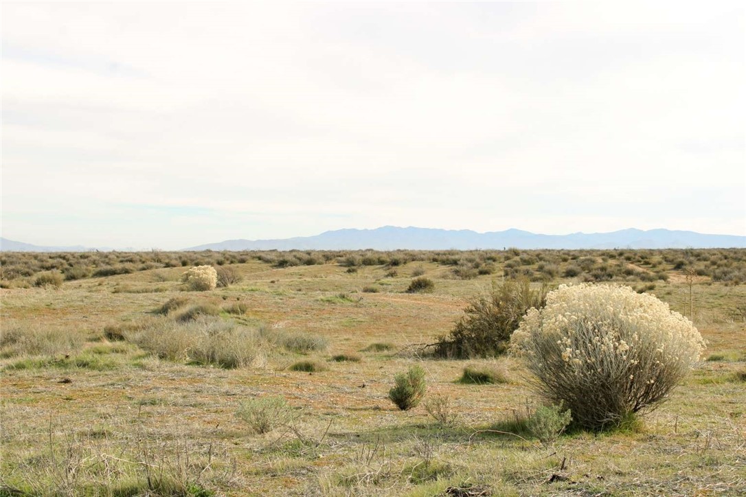 80999 Sonora Road Phelan, CA 92371 - Photo 10 of 18