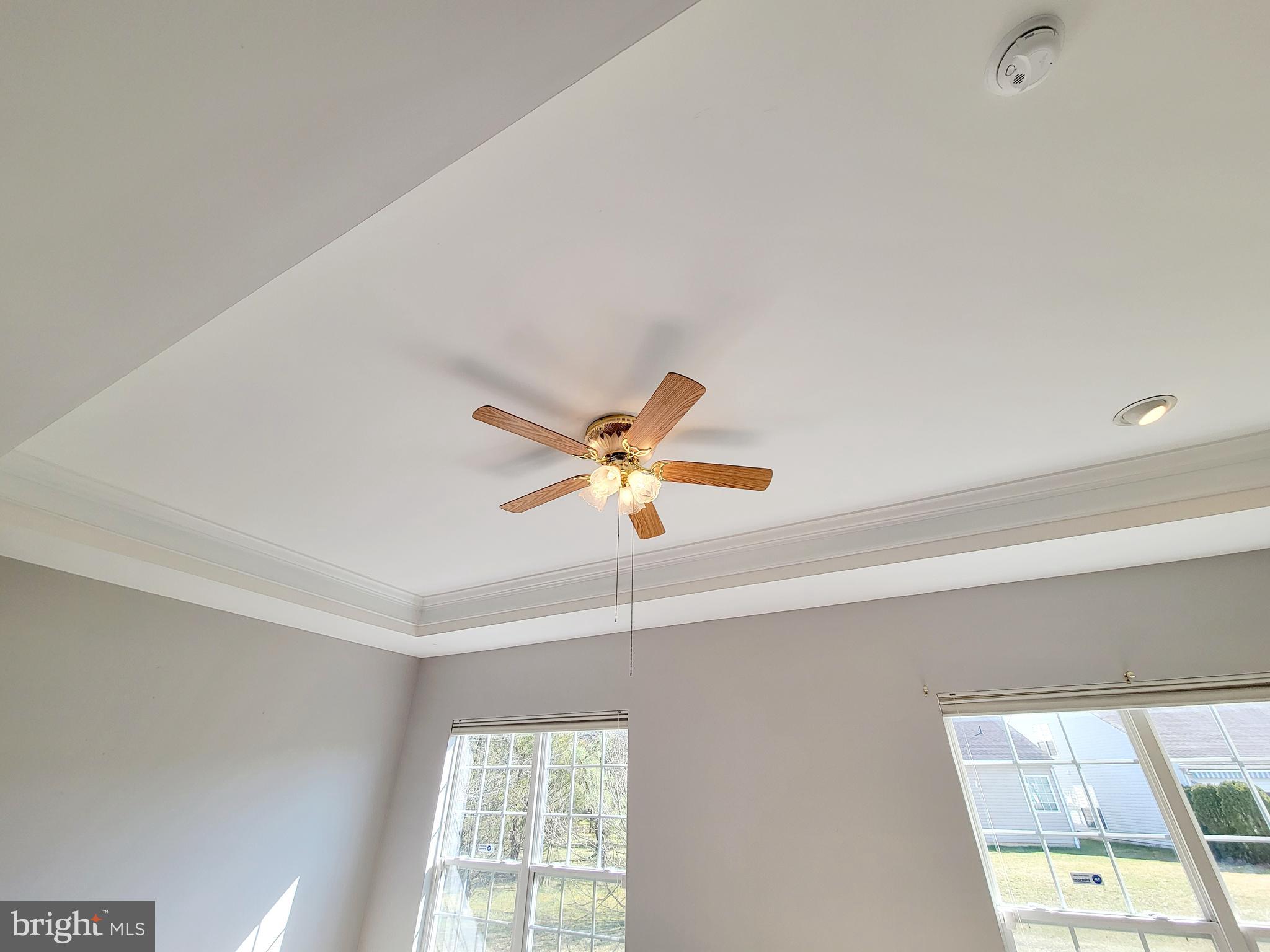 30 Pennington Court Riverside, NJ 08075 - Photo 38 of 95 trey ceiling
