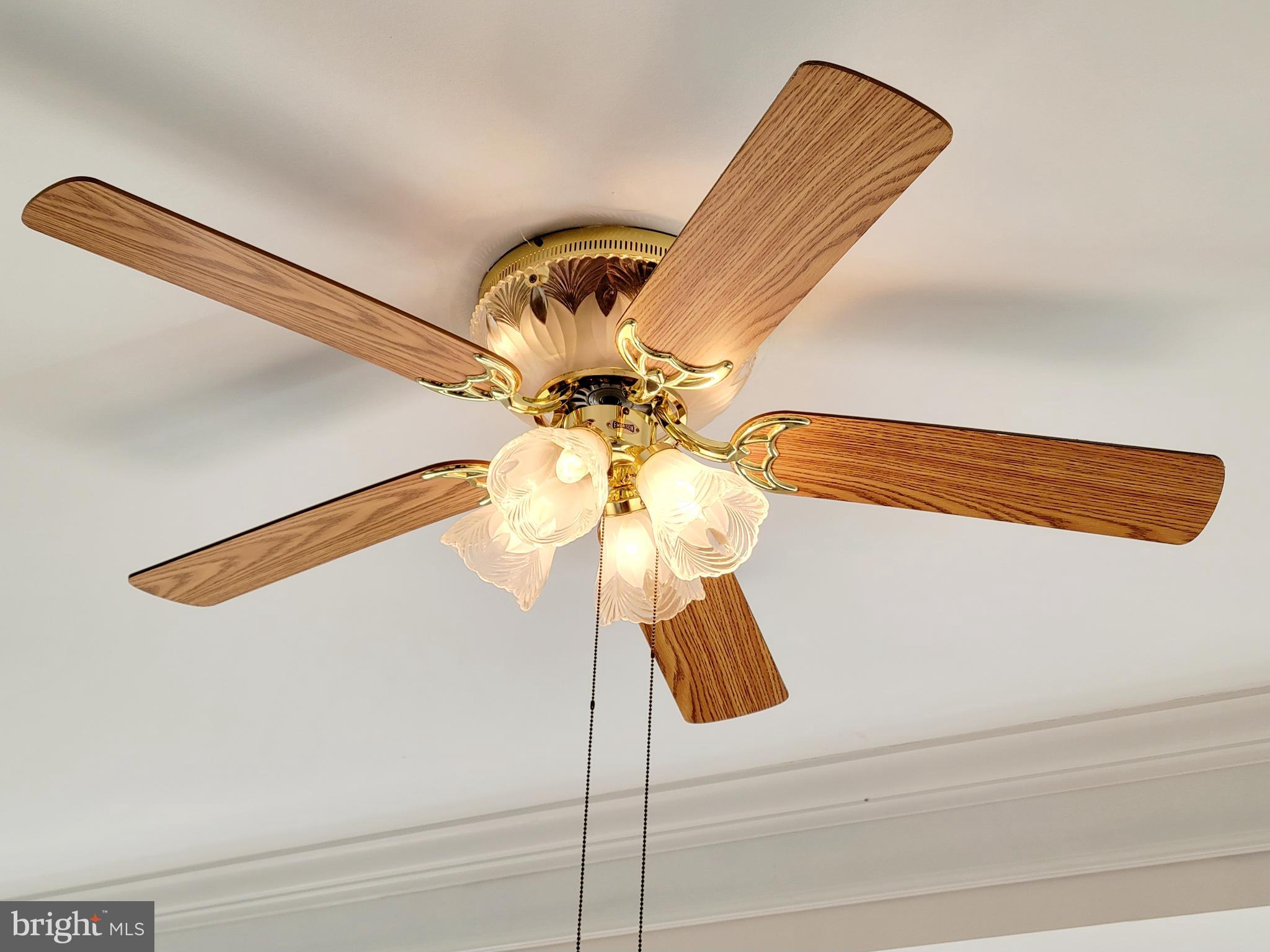 30 Pennington Court Riverside, NJ 08075 - Photo 39 of 95 elegant master bedroom fan