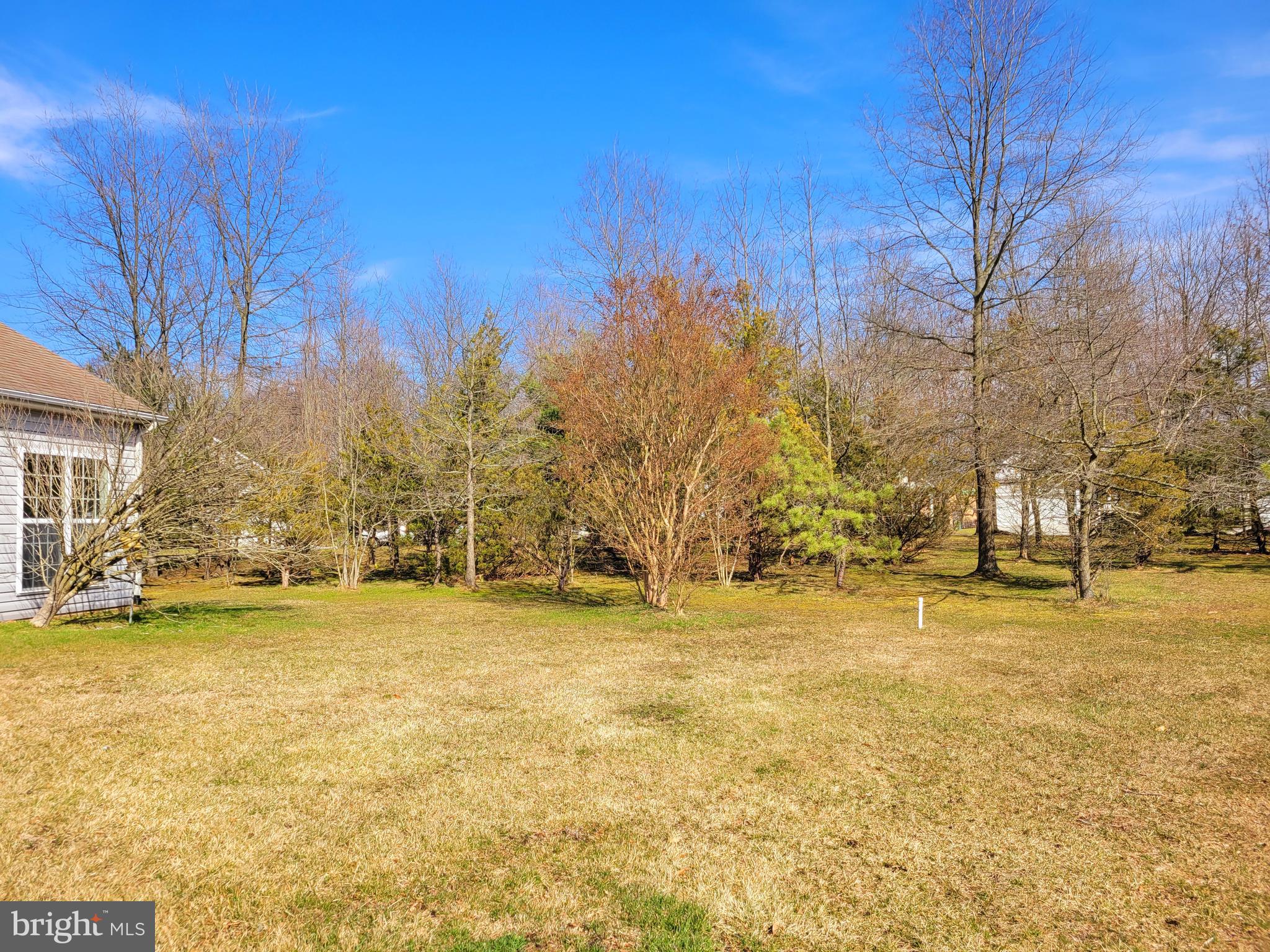 30 Pennington Court Riverside, NJ 08075 - Photo 80 of 95 view of private lot from back