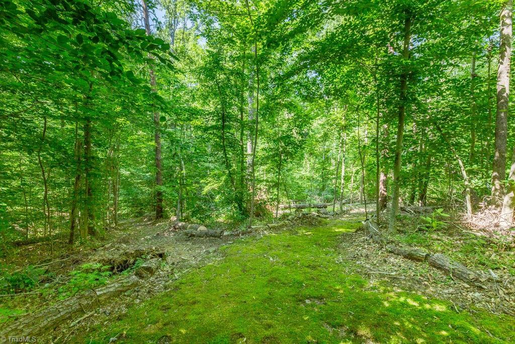 2705 Currieton Court Oak Ridge, NC 27310 - Photo 44 of 49