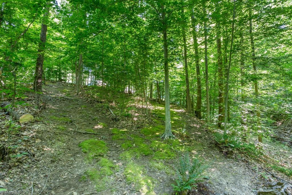 2705 Currieton Court Oak Ridge, NC 27310 - Photo 45 of 49