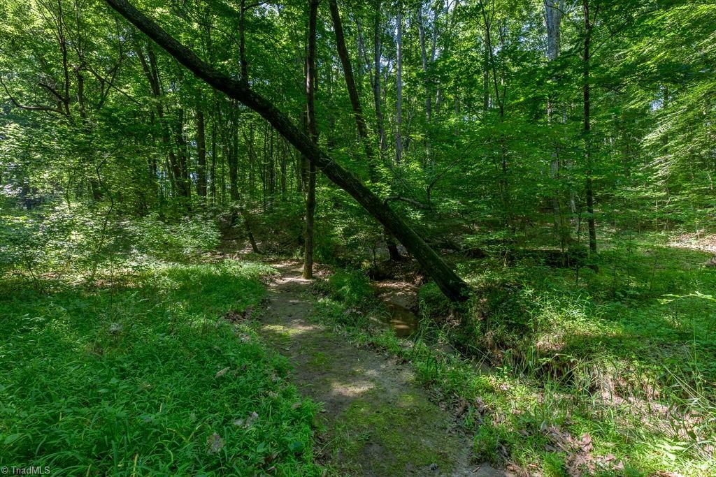 2705 Currieton Court Oak Ridge, NC 27310 - Photo 48 of 49