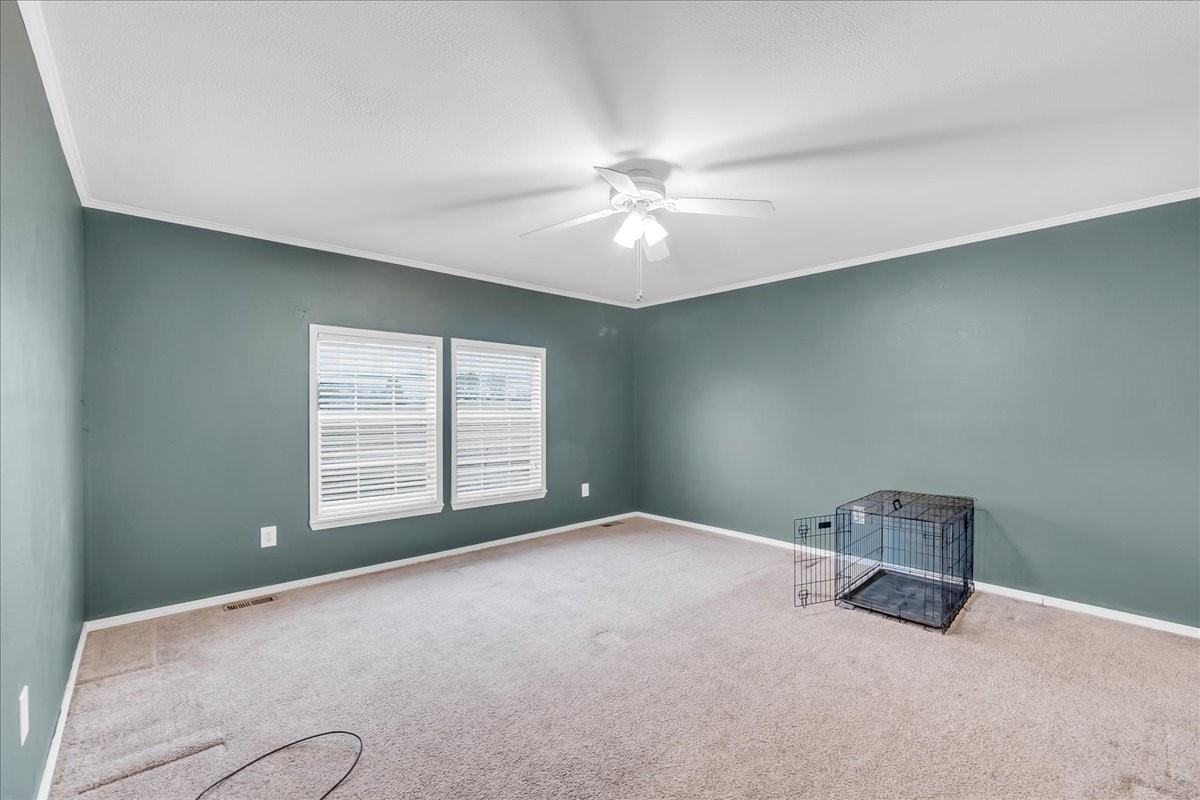 26 Buckner Dotson Road Hillsboro, TN 37342 - Photo 19 of 32 Gallery Image 19