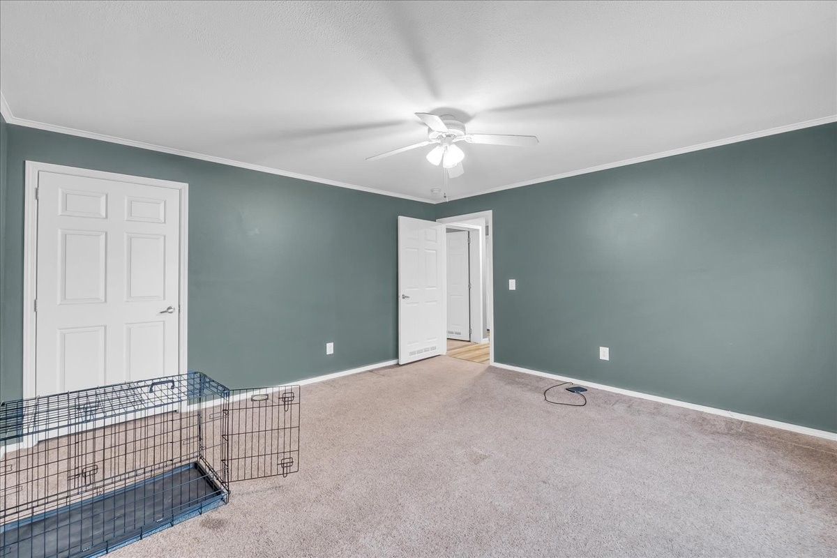 26 Buckner Dotson Road Hillsboro, TN 37342 - Photo 20 of 32 Gallery Image 20