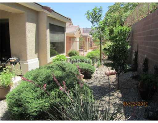 491 Edgefield Ridge Place Henderson, NV 89012 - Photo 17 of 18 Exterior Back.