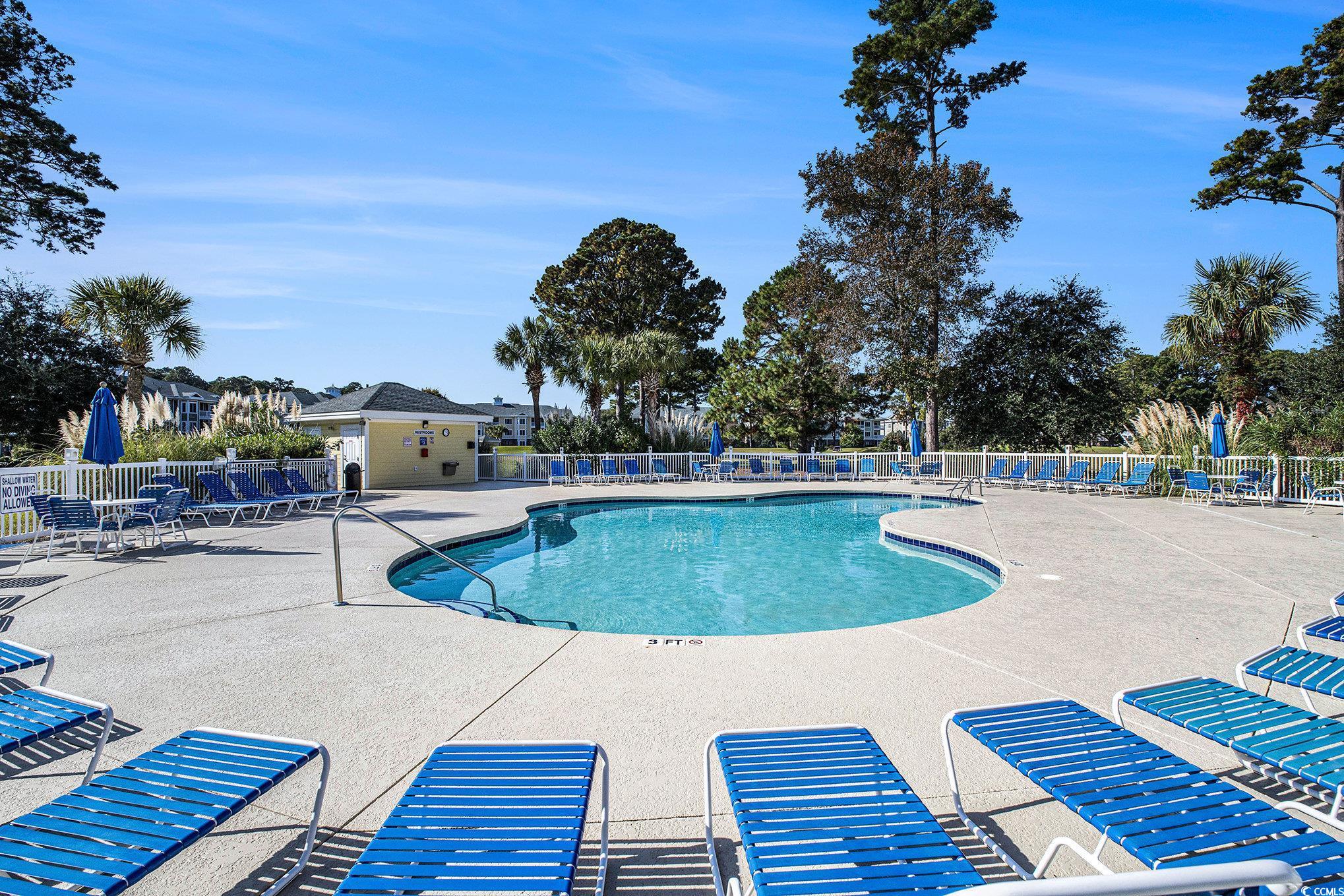 4894 Luster Leaf Circle, Unit 303 Myrtle Beach, SC 29577 - Photo 29 of 31 Community pool featuring a patio