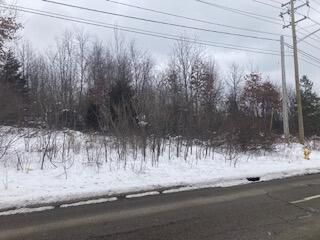 V/l Beckley Road Battle Creek, MI 49014 - Photo 2 of 2 pic 2