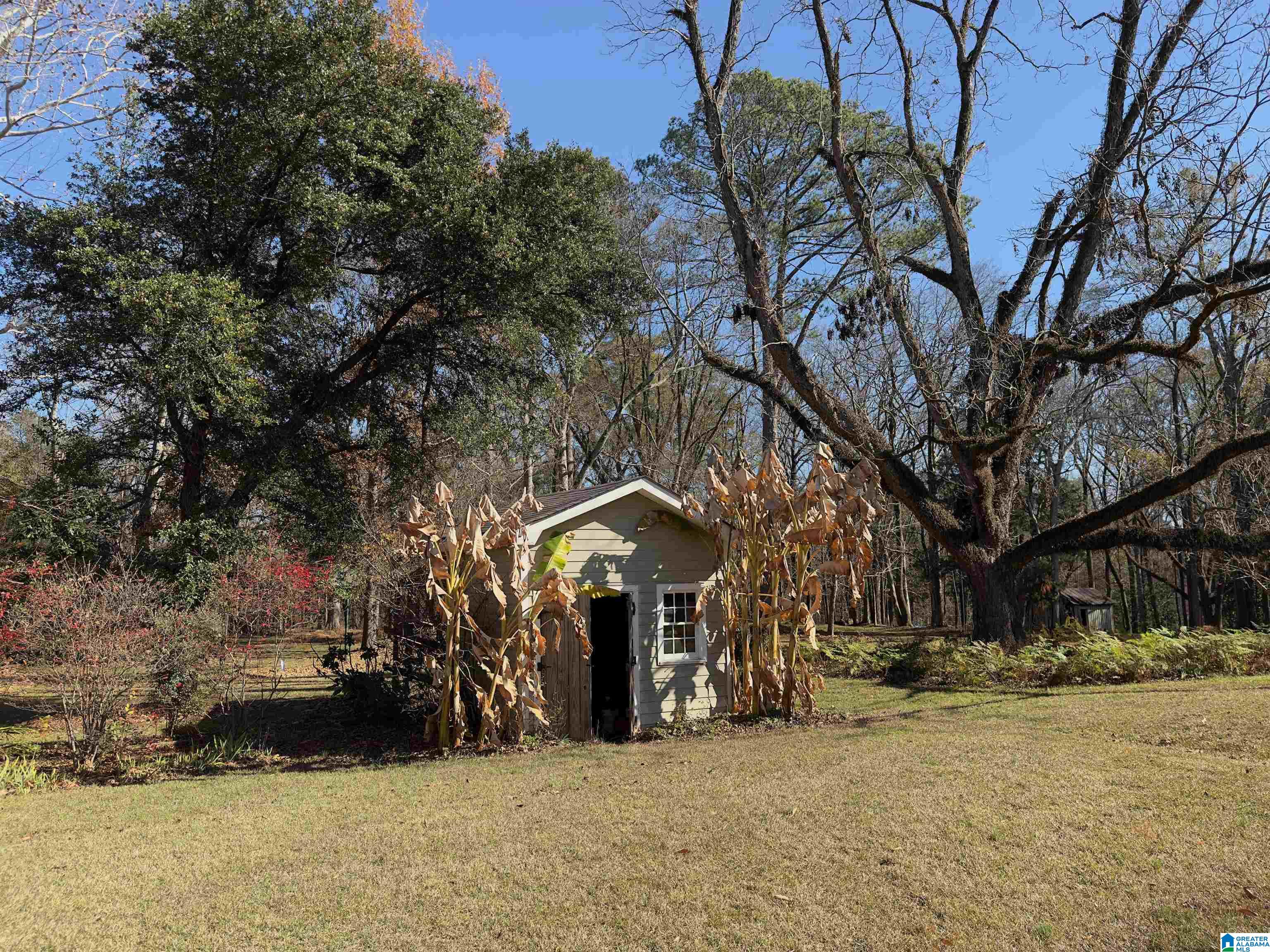 822 Mesopotamia Street Eutaw, AL 35462 - Photo 41 of 47