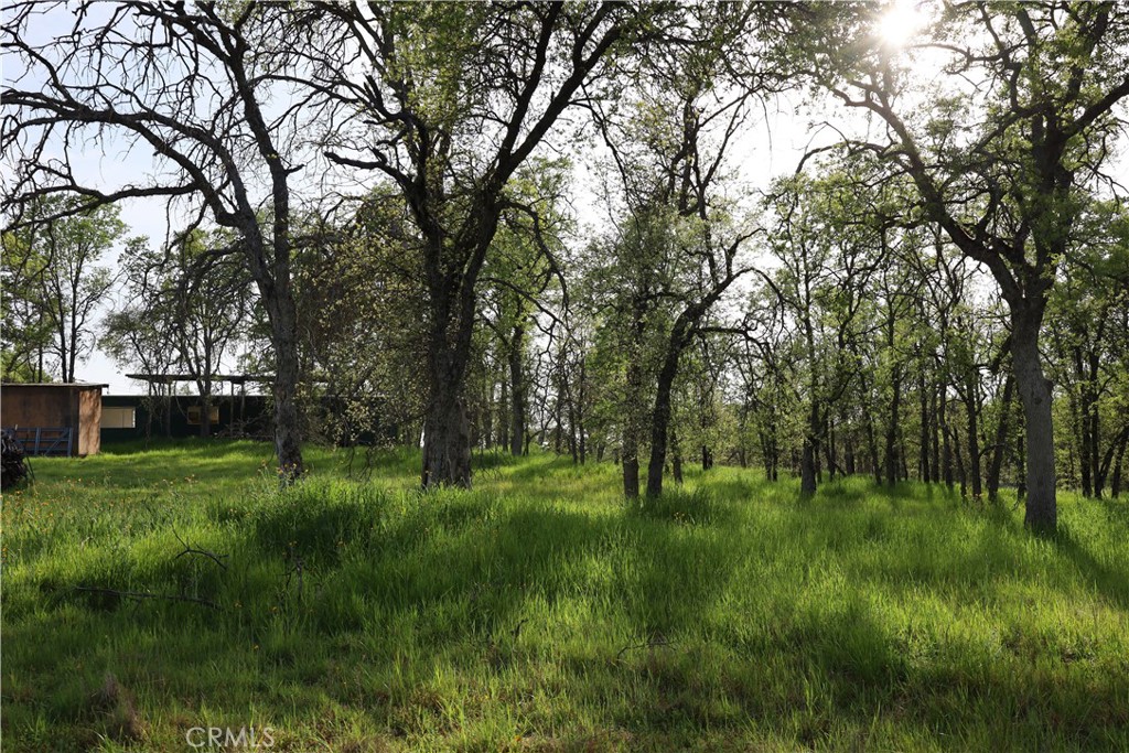 0 Douglas Road Coarsegold, CA 93614 - Photo 28 of 32