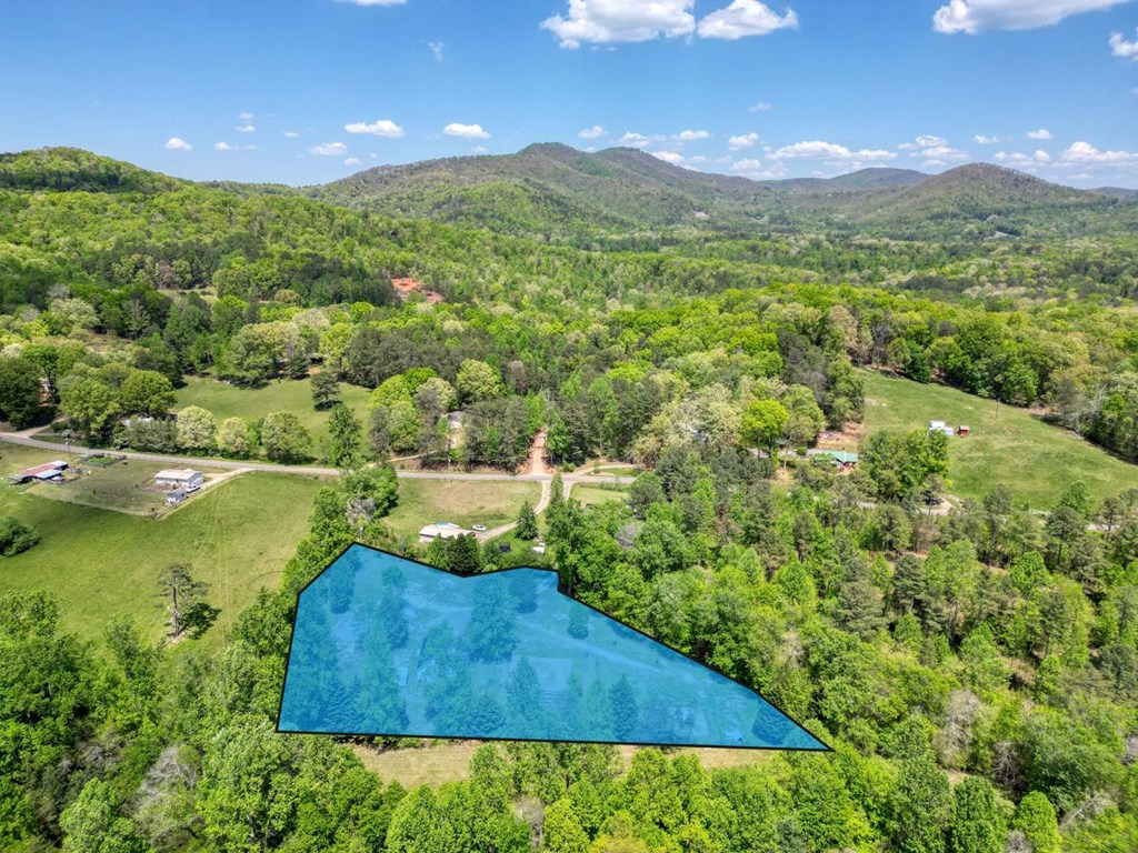 1059 Pleasant Hill Road Murphy, NC 28906 - Photo 5 of 54