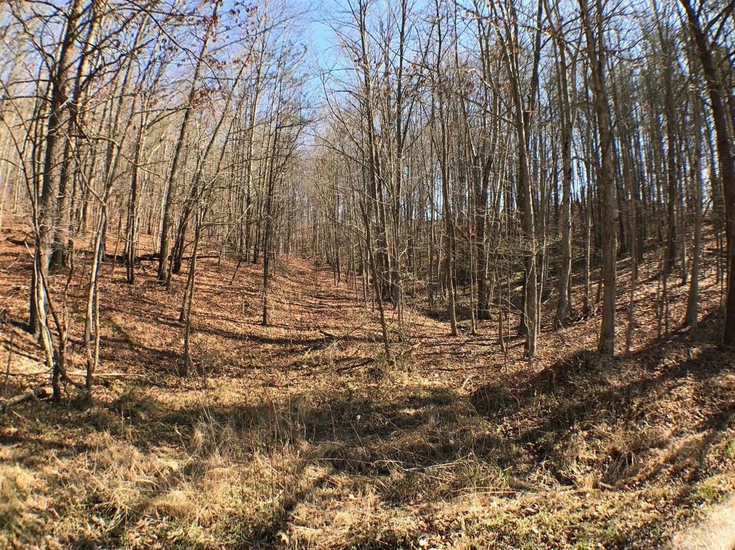 99 Haven Road Means, KY 40346 - Photo 40 of 70 Photo 40