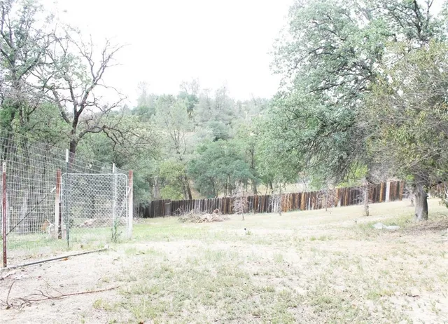 a view of a field with large trees