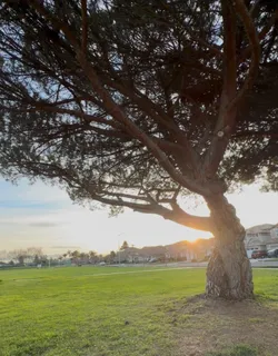 $1,425,000 | 4513 Birchwood Court, Union City, CA 94587