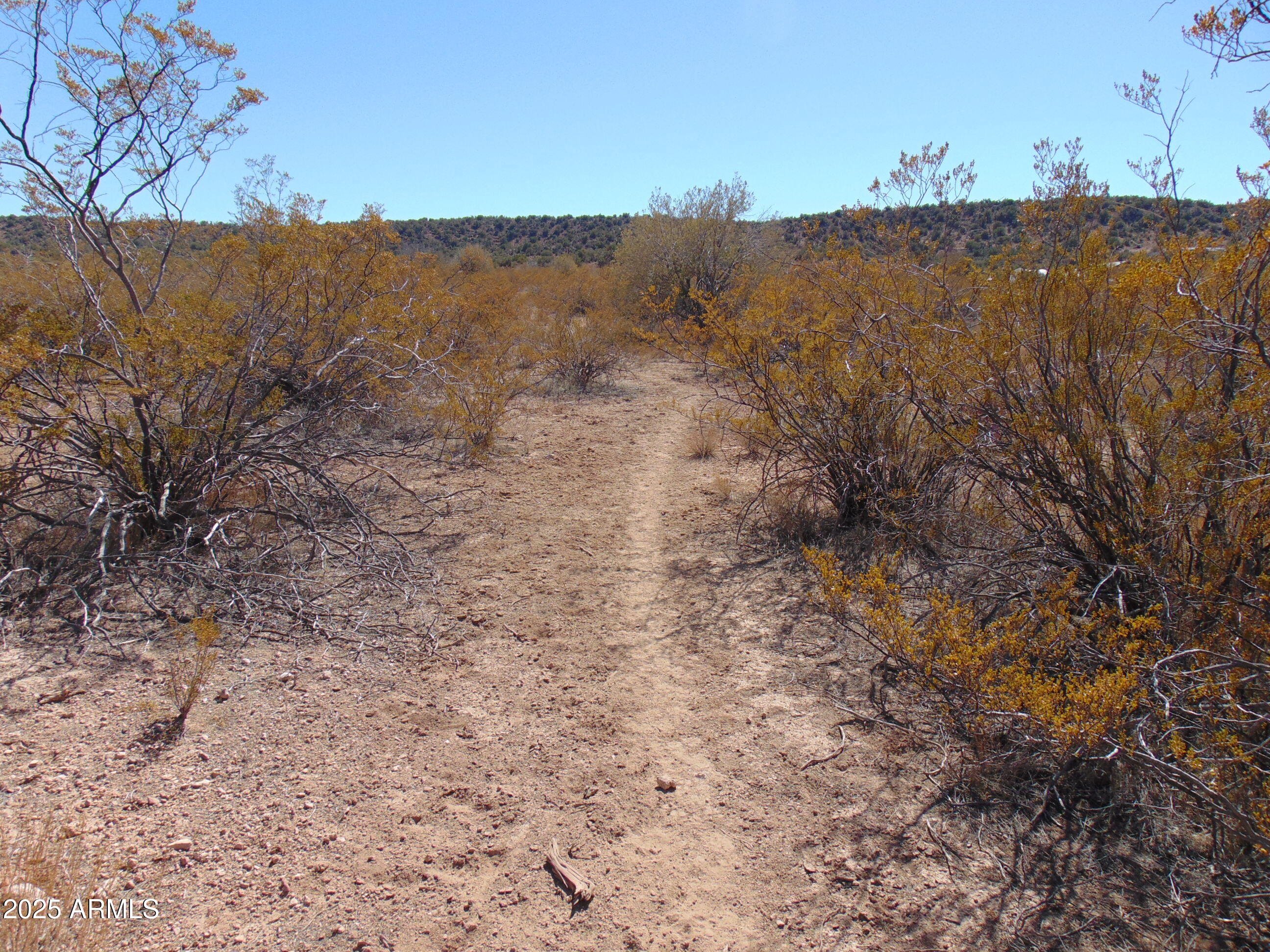 0 East Native Trail Rimrock, AZ 86335 - Photo 11 of 20 a view of a dry yard with mountains in the background