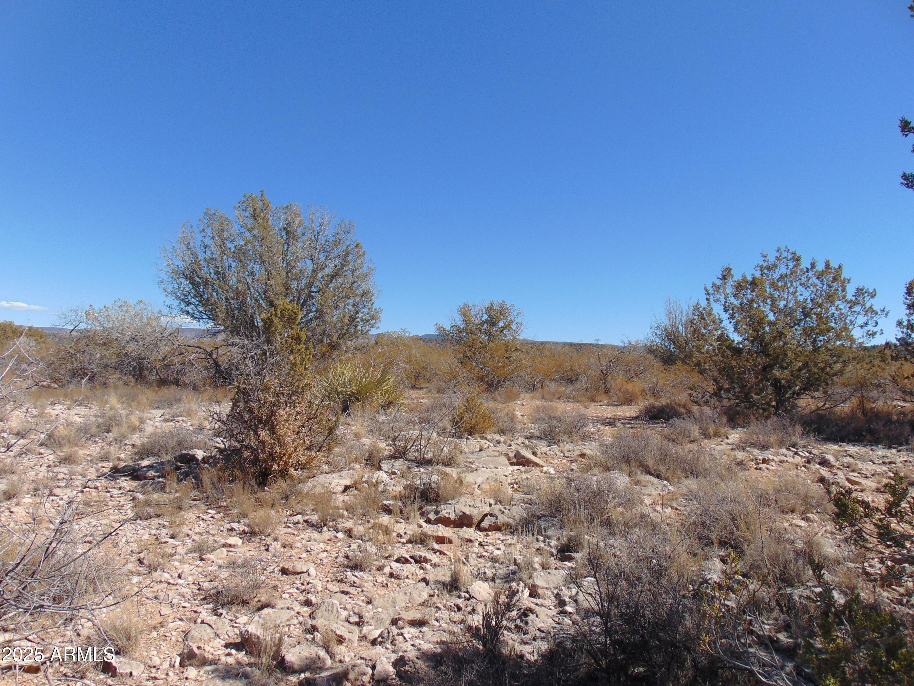 0 East Native Trail Rimrock, AZ 86335 - Photo 7 of 20 a view of a dry yard with lots of bushes