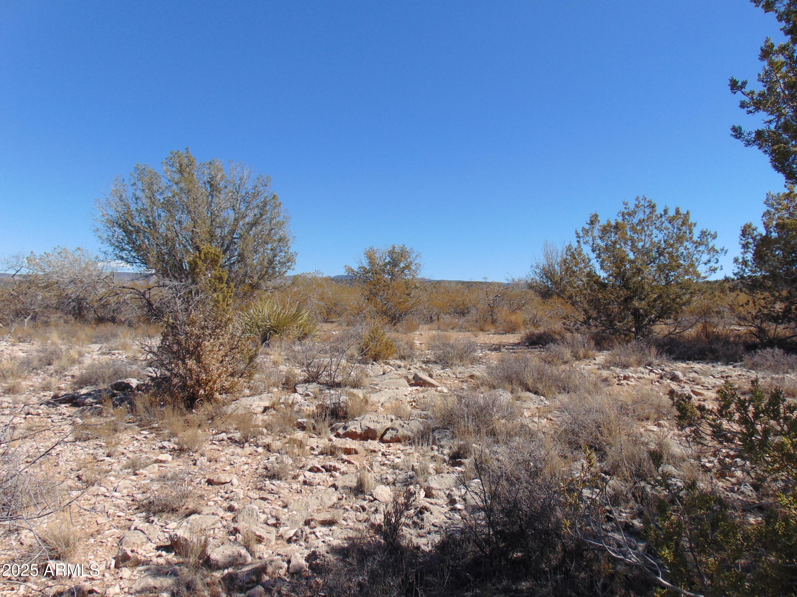 0 East Native Trail Rimrock, AZ 86335 - Photo 8 of 20 a view of a dry yard with green space
