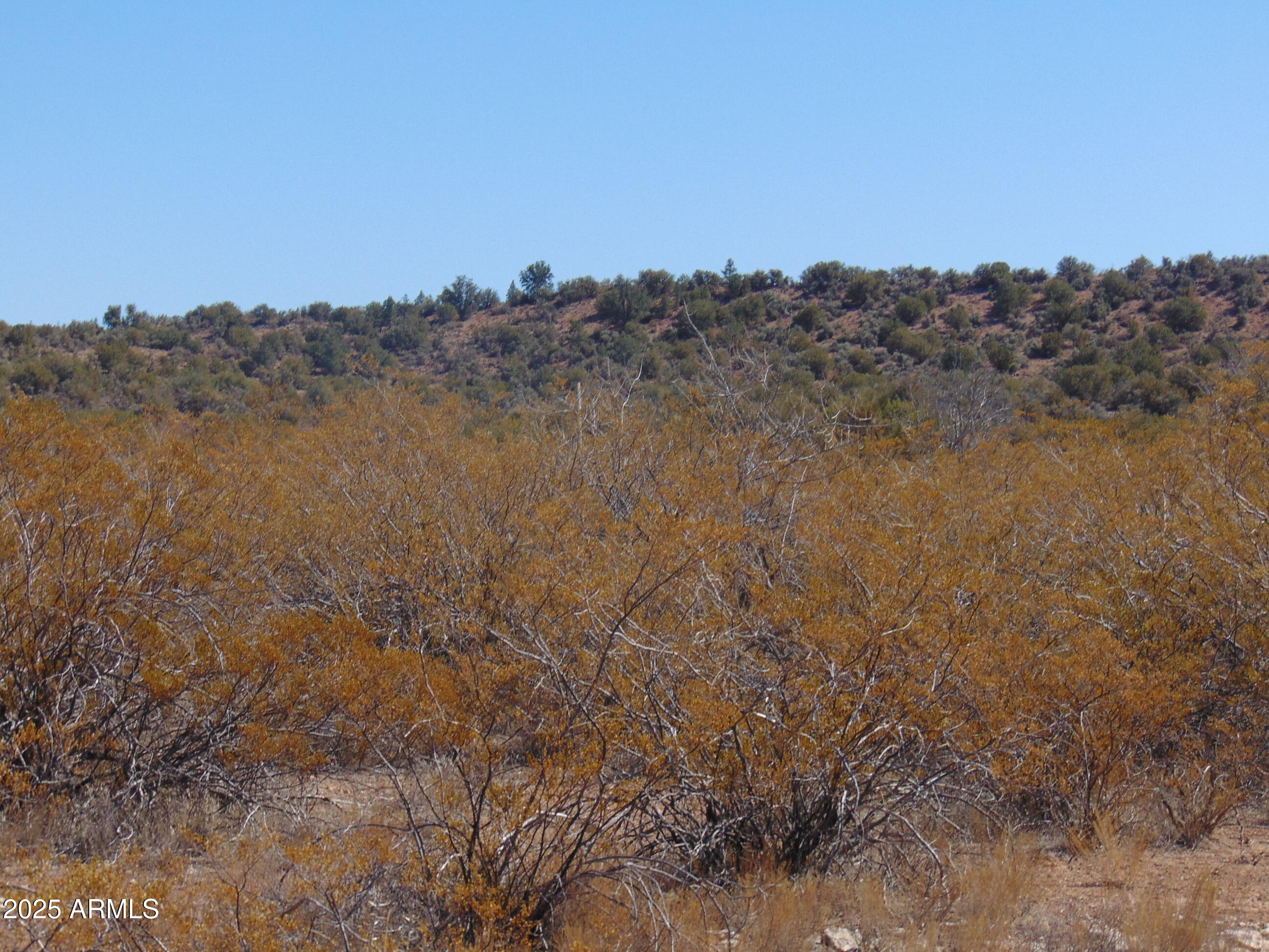 0 East Native Trail Rimrock, AZ 86335 - Photo 9 of 20 a view of lake and mountain