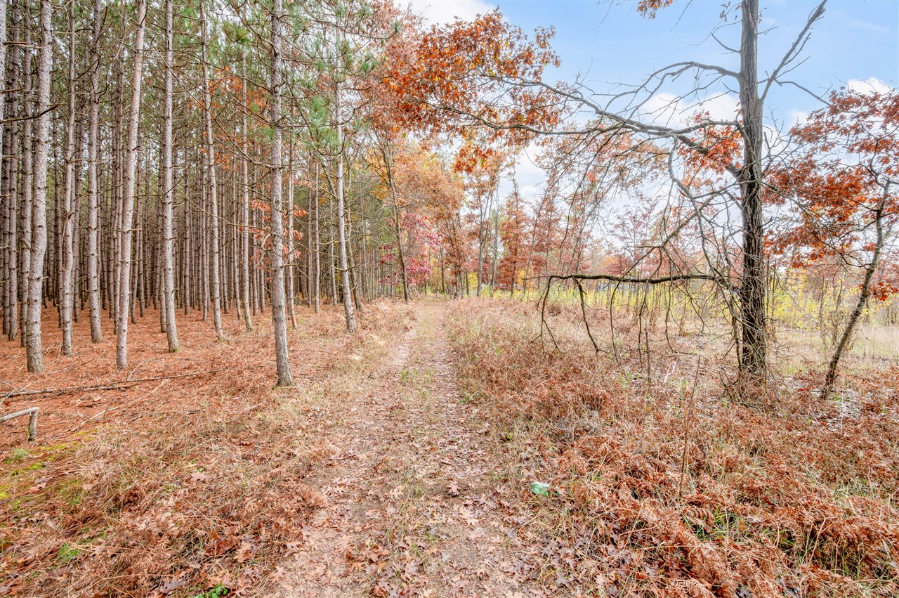 16 16 Mile Road Lakeview, MI 48850 - Photo 17 of 26