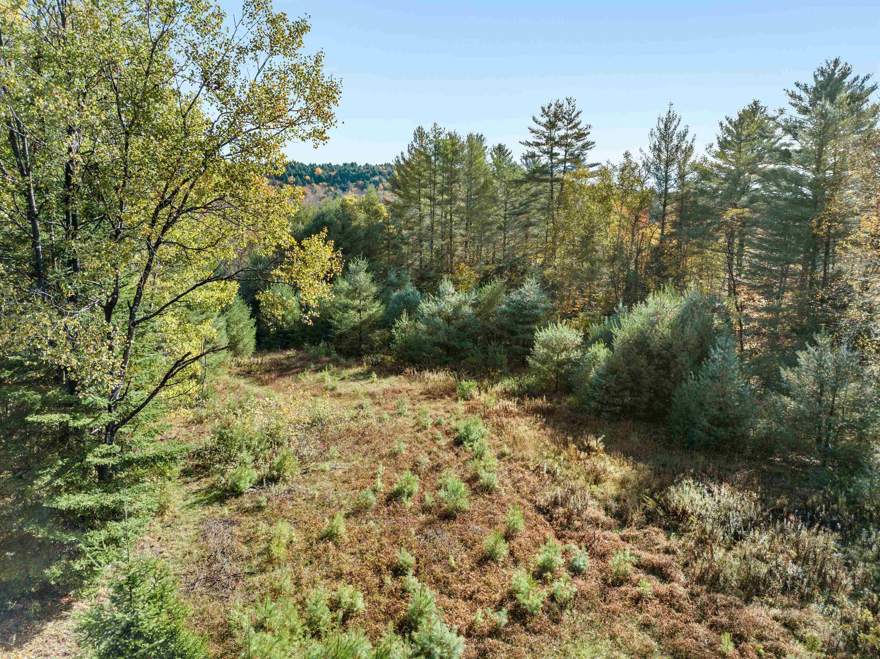 0 Veo Road, Unit 2 Montpelier, VT 05602 - Photo 8 of 22