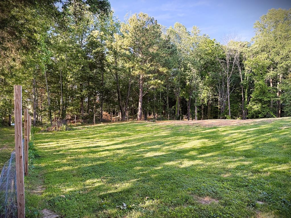 1348 Union Hill Road Red Boiling Springs, TN 37150 - Photo 42 of 52