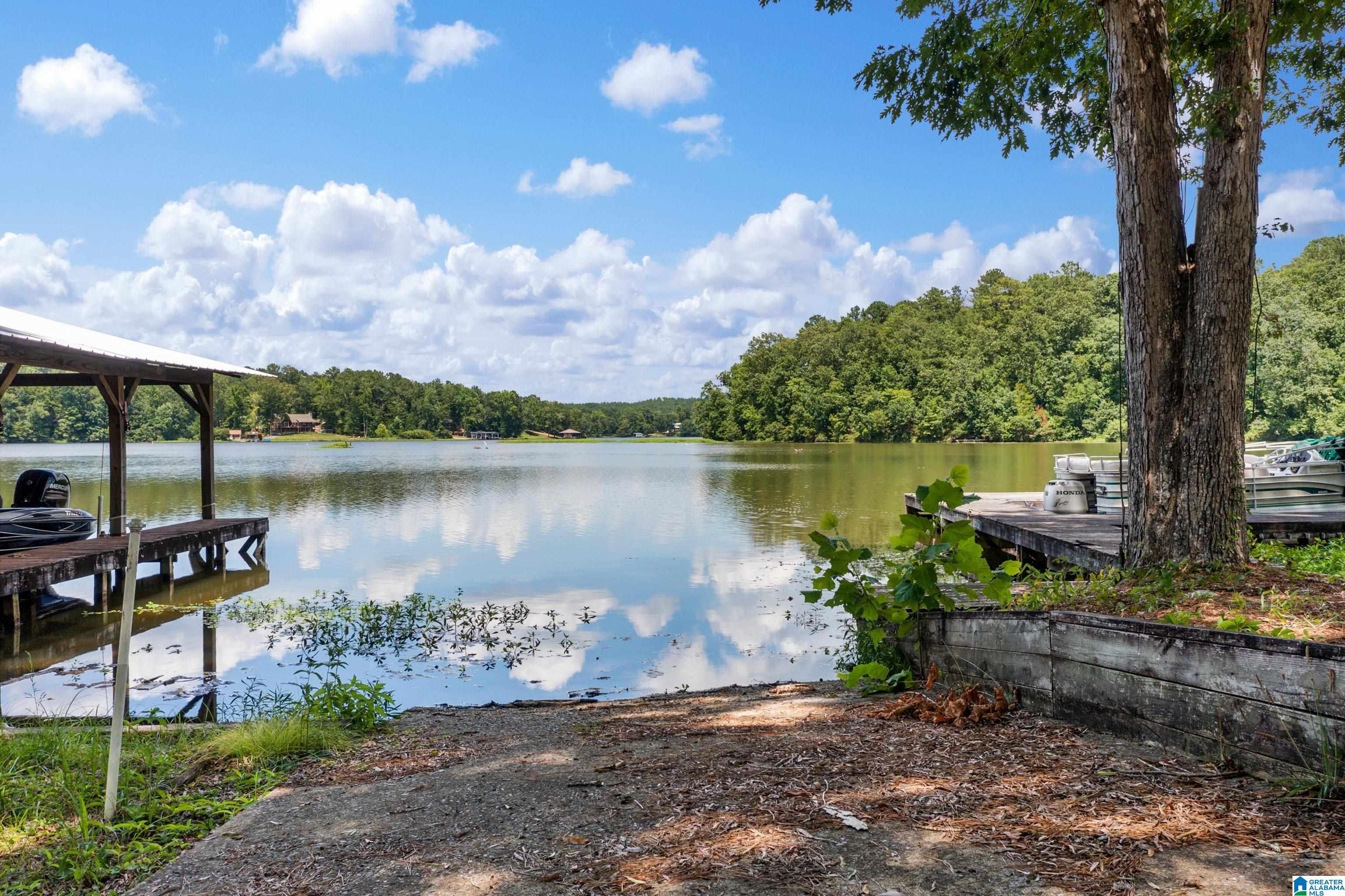 1366 White Oak Road Sylacauga, AL 35151 - Photo 6 of 47