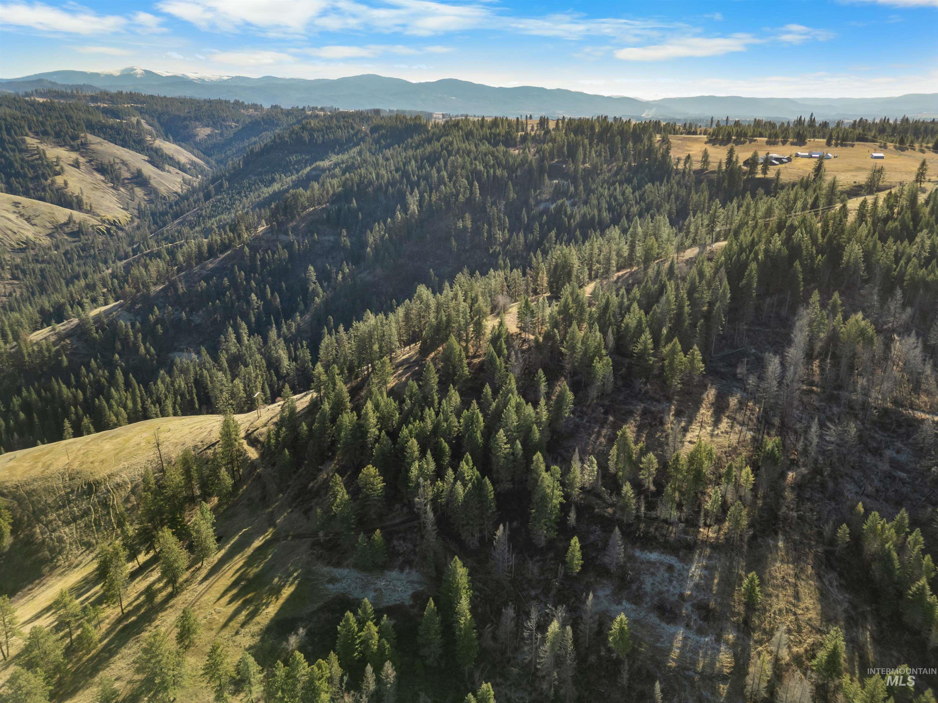 216 Ulmer Road Kooskia, ID 83539 - Photo 12 of 47 Aerial view of a mountain backdrop and a forest