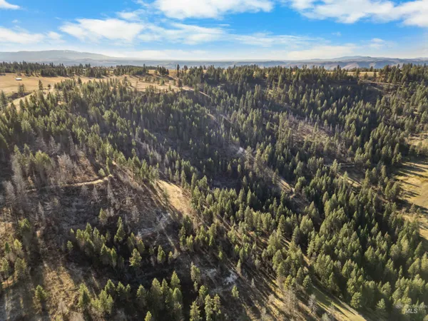 $2,500,000 | 216 Ulmer Road, Kooskia, ID 83539