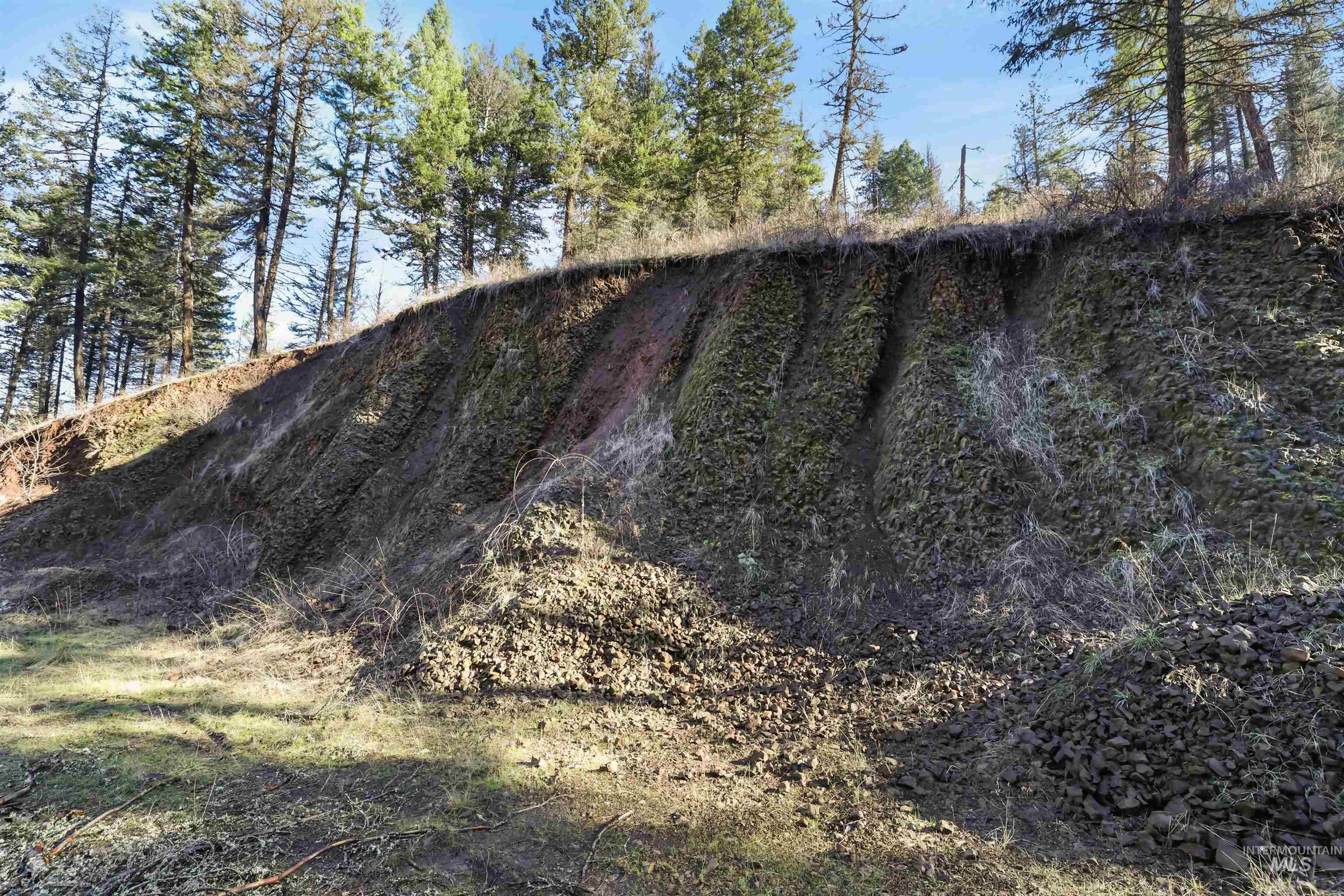 216 Ulmer Road Kooskia, ID 83539 - Photo 44 of 47 View of undeveloped land