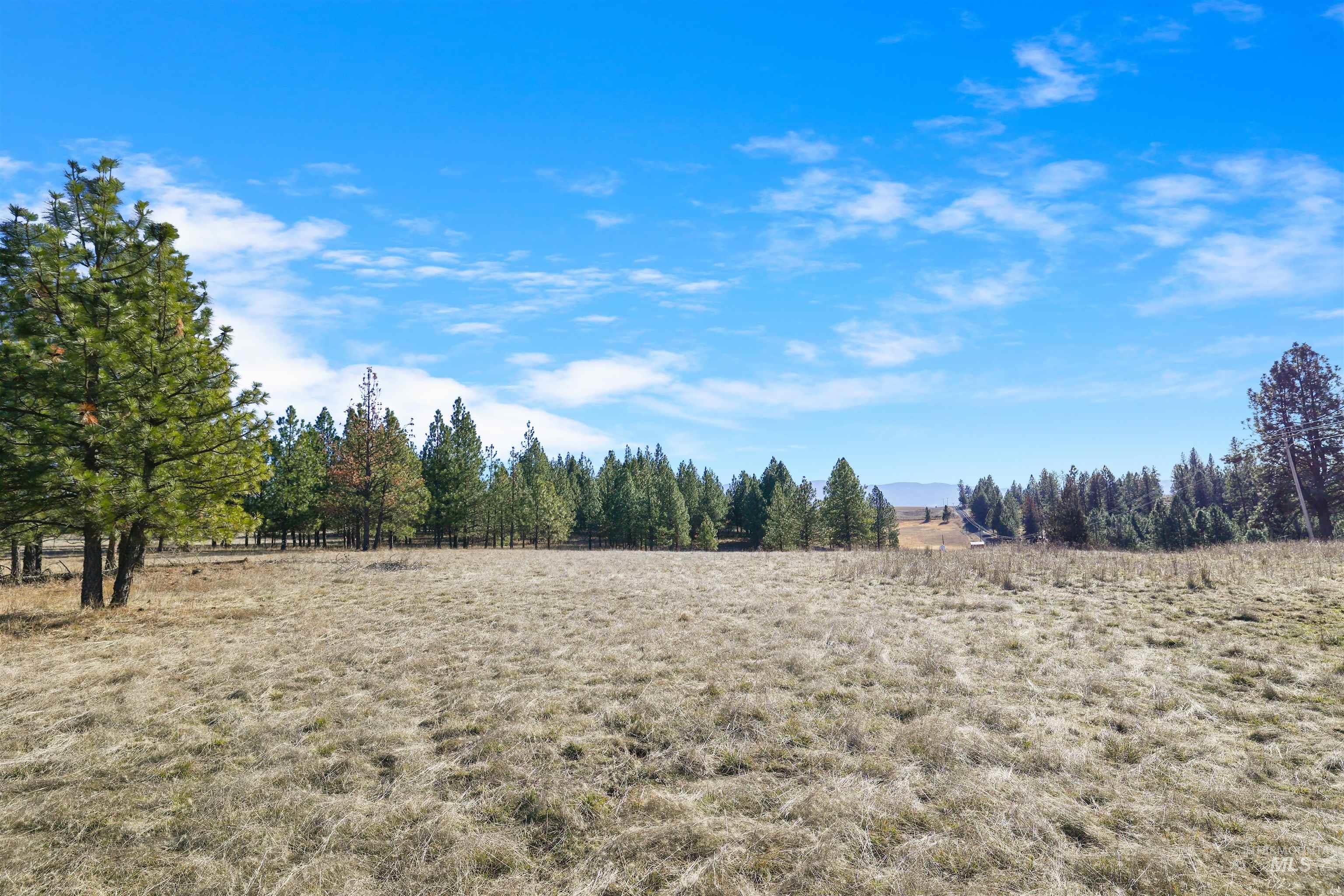 216 Ulmer Road Kooskia, ID 83539 - Photo 46 of 47 View of undeveloped land with rural landscape
