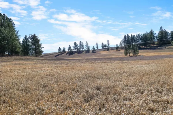 $2,500,000 | 216 Ulmer Road, Kooskia, ID 83539