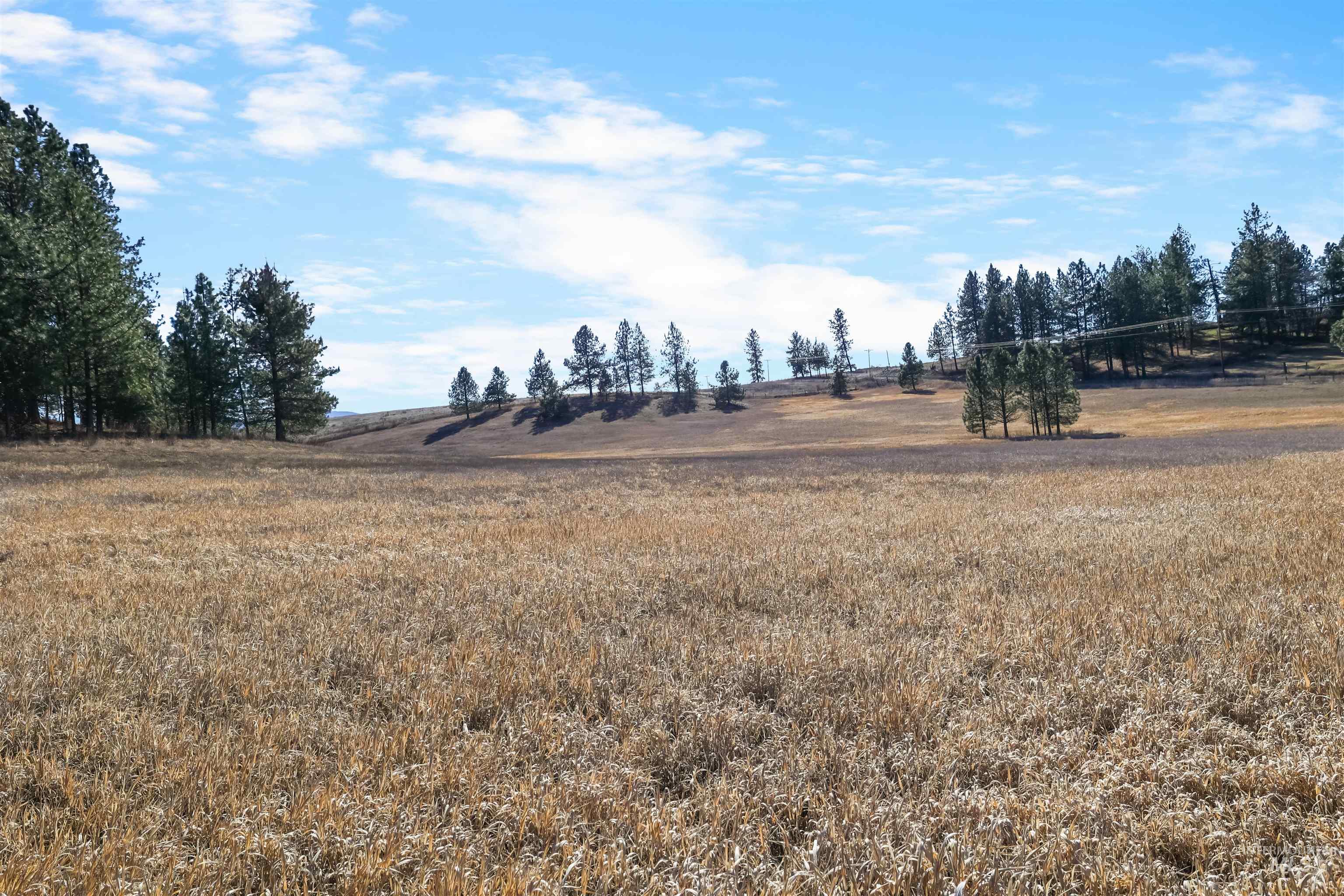 216 Ulmer Road Kooskia, ID 83539 - Photo 47 of 47 View of undeveloped land featuring rural landscape