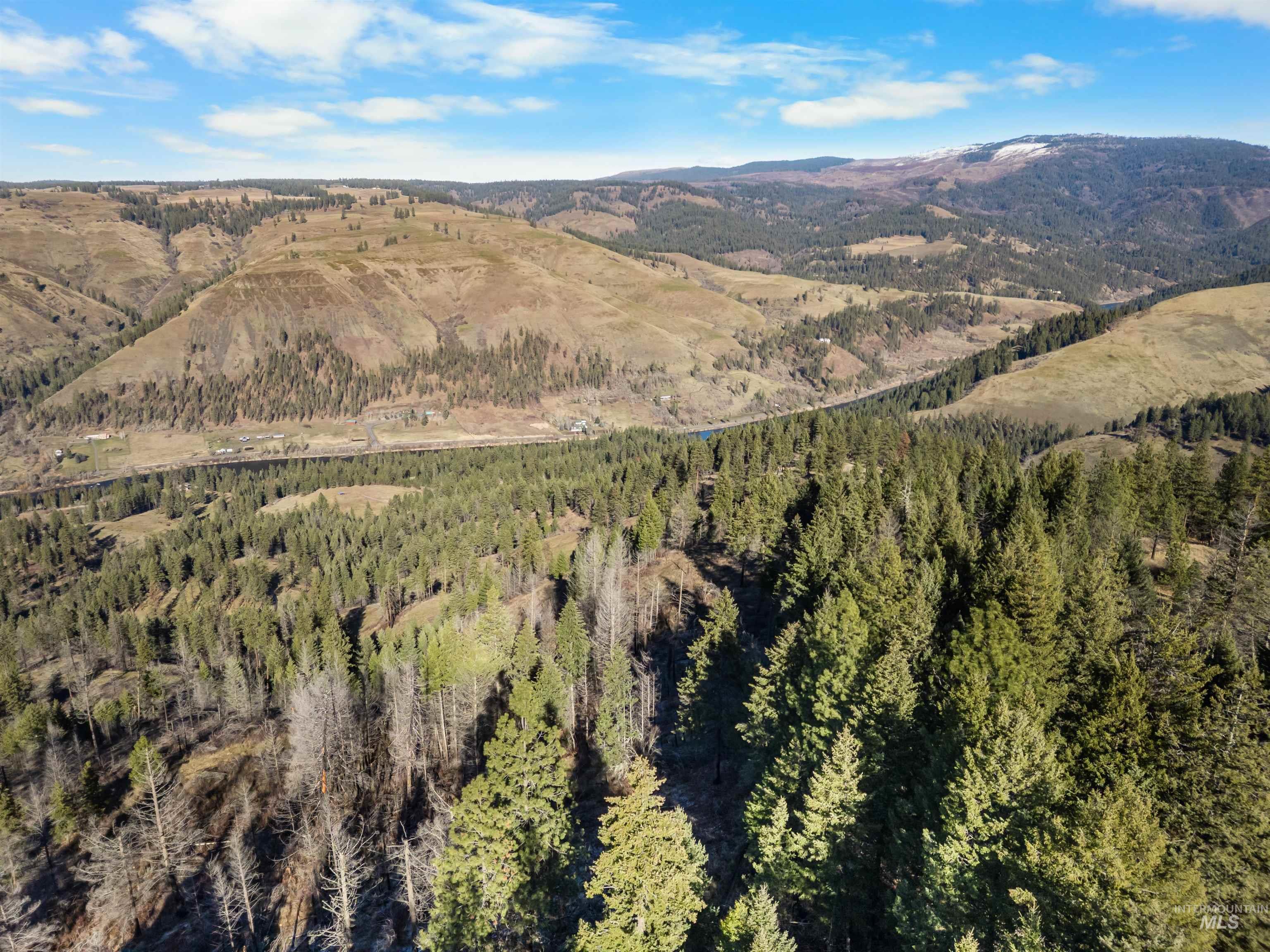 216 Ulmer Road Kooskia, ID 83539 - Photo 10 of 47 View of mountain background