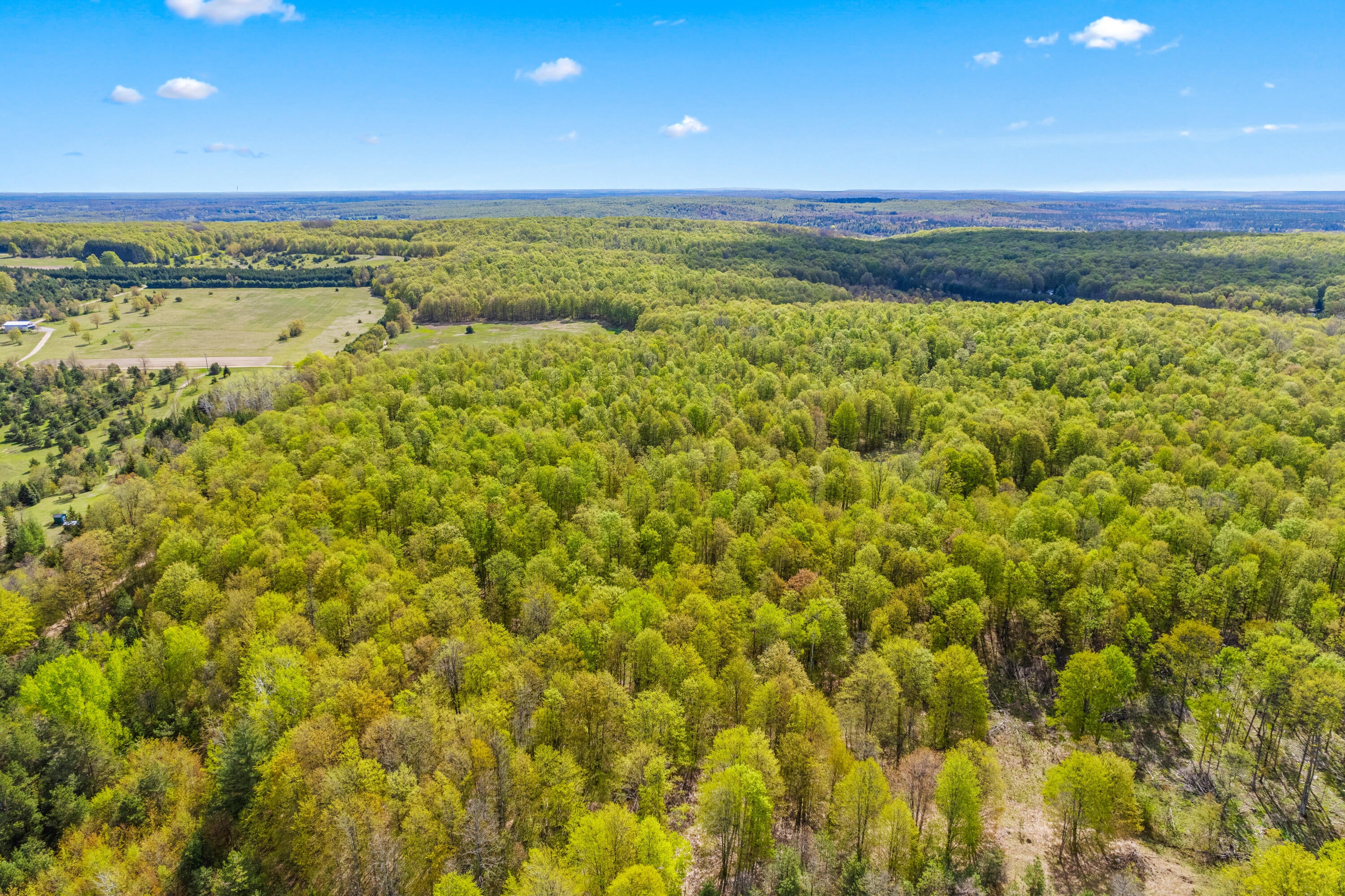 Ashley Road Vanderbilt, MI 49795 - Photo 10 of 12 Gallery Image 10