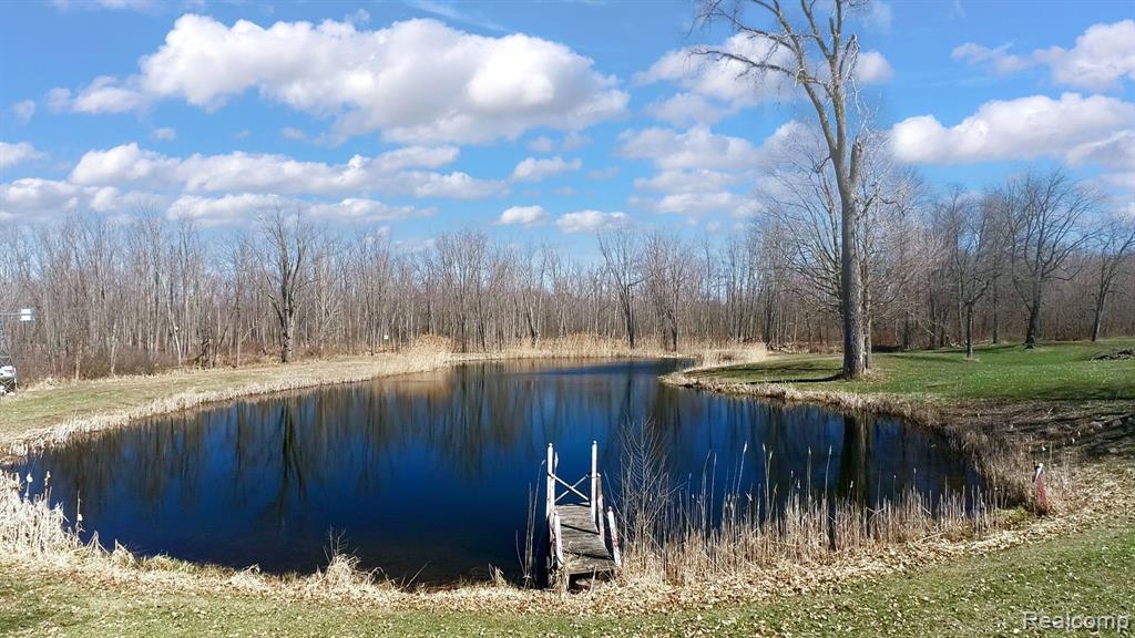 6640 Munsell Road Howell, MI 48843 - Photo 8 of 60