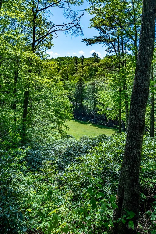 173 Laurel Brook Road Newland, NC 28657 - Photo 40 of 49