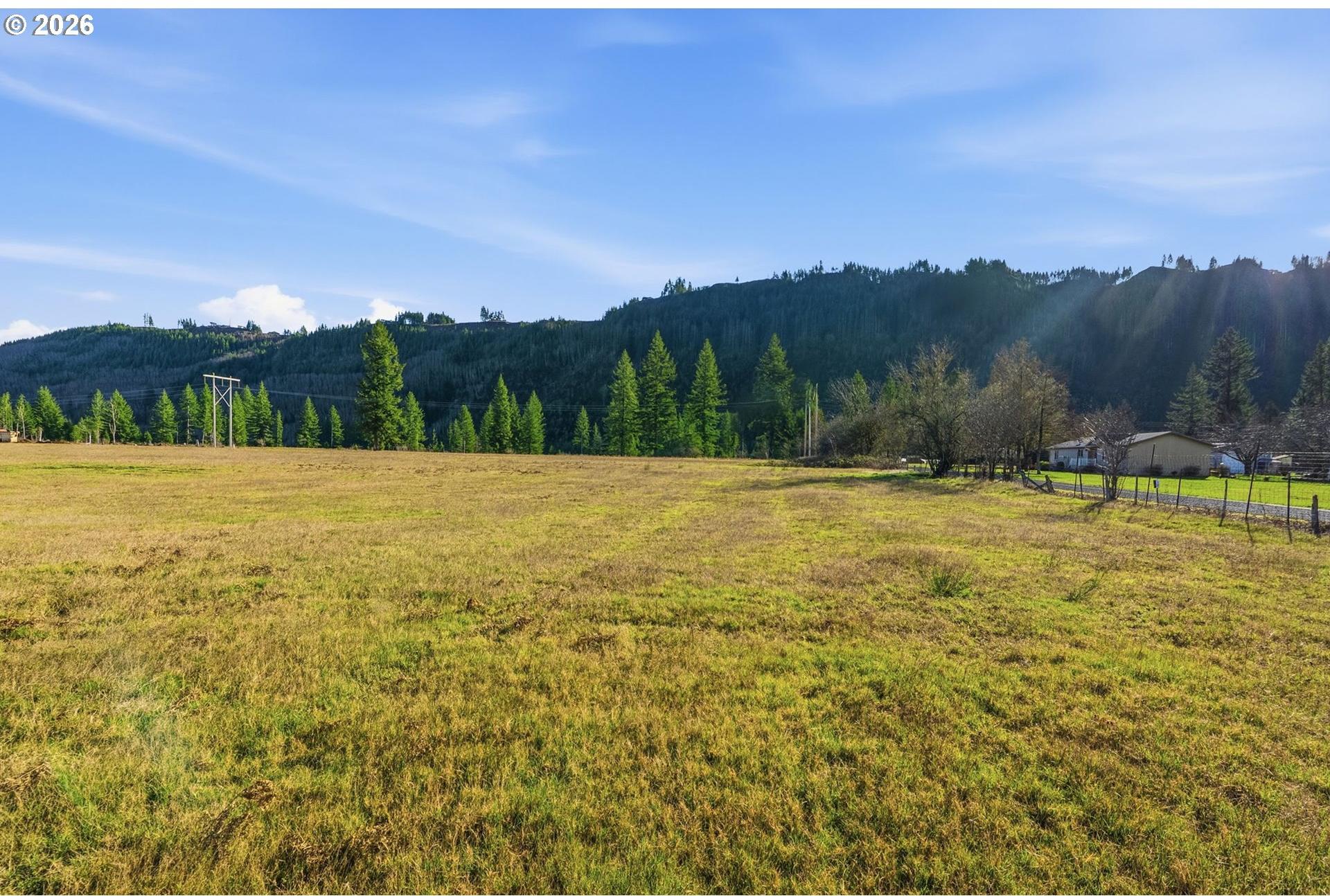 208 Sawmill Road, Unit 3 Ariel, WA 98603 - Photo 6 of 13 Gallery Image 6