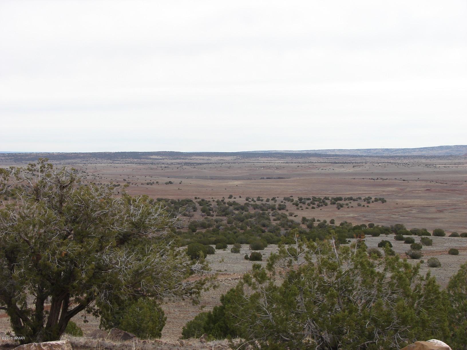 2400 Apache Concho, AZ 85924 - Photo 11 of 27