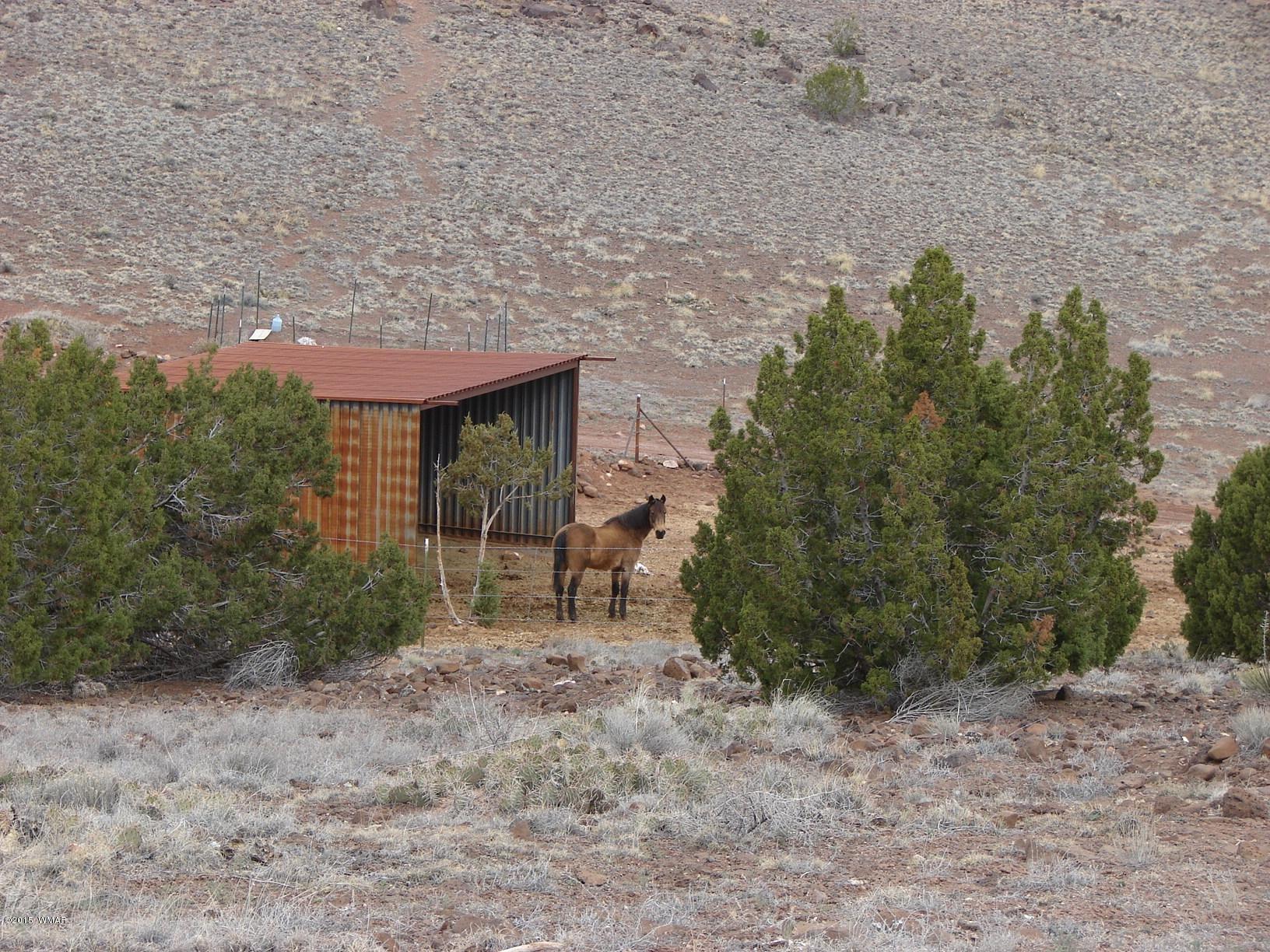 2400 Apache Concho, AZ 85924 - Photo 18 of 27