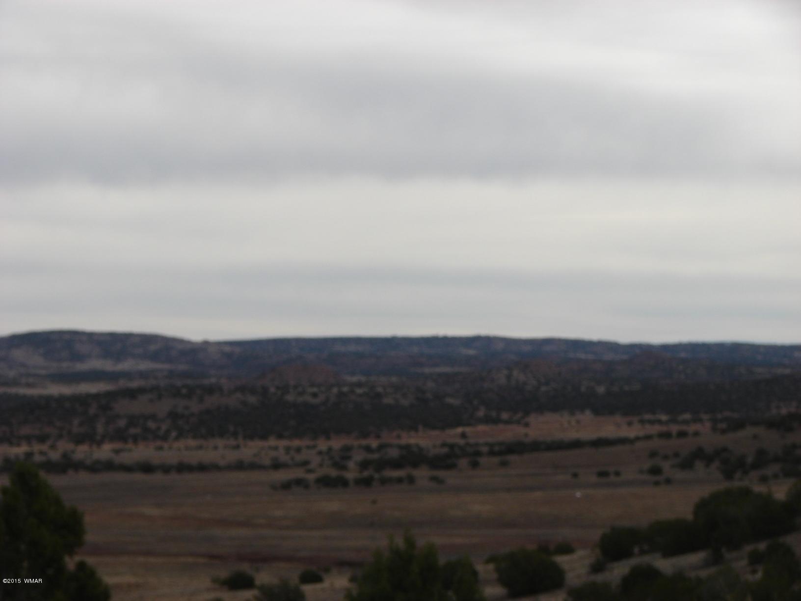 2400 Apache Concho, AZ 85924 - Photo 20 of 27