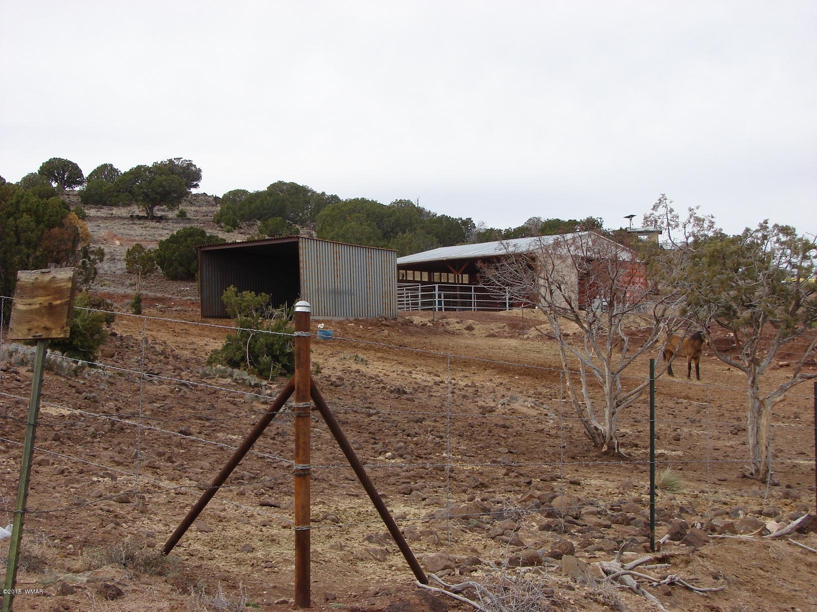 2400 Apache Concho, AZ 85924 - Photo 4 of 27
