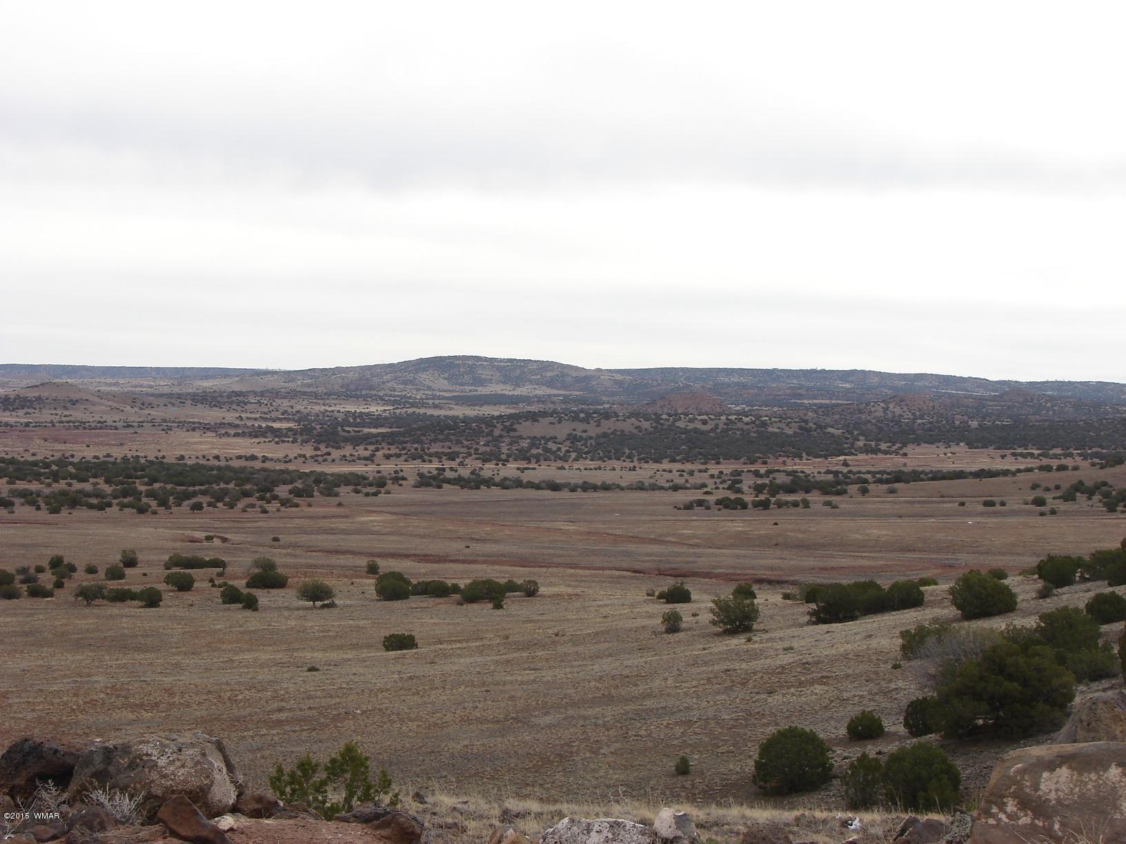 2400 Apache Concho, AZ 85924 - Photo 9 of 27