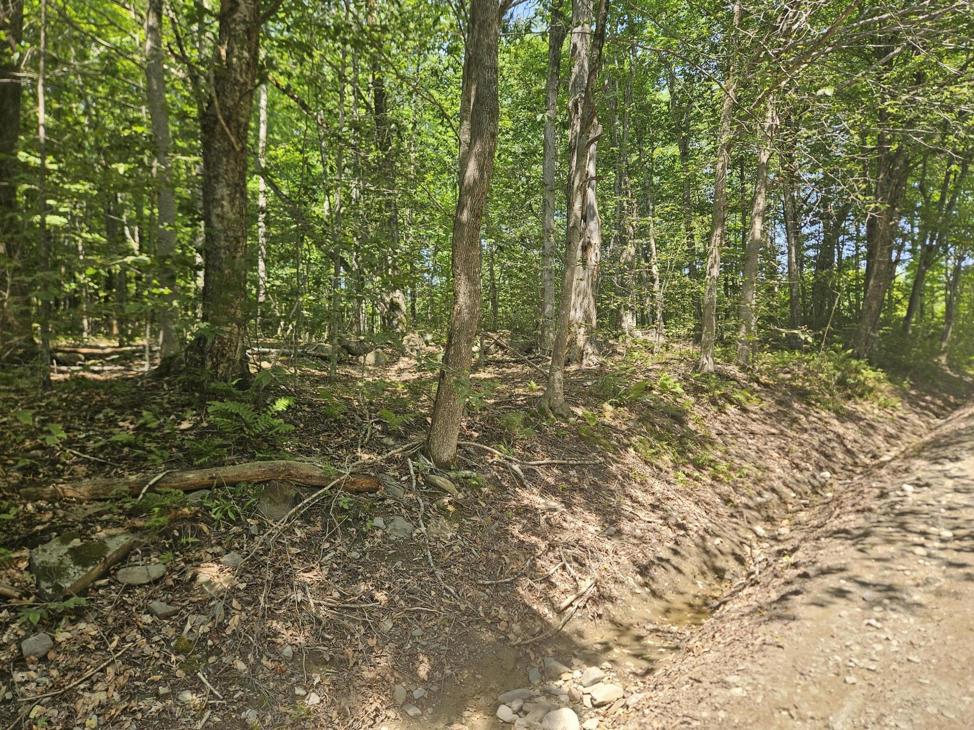 Lot 5 North Merrill Road Harmony, ME 04942 - Photo 6 of 11 20260708_110542